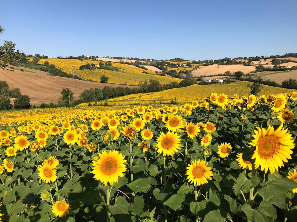 Penzion Casale Casini Soccorso Senigallia Exteriér fotografie