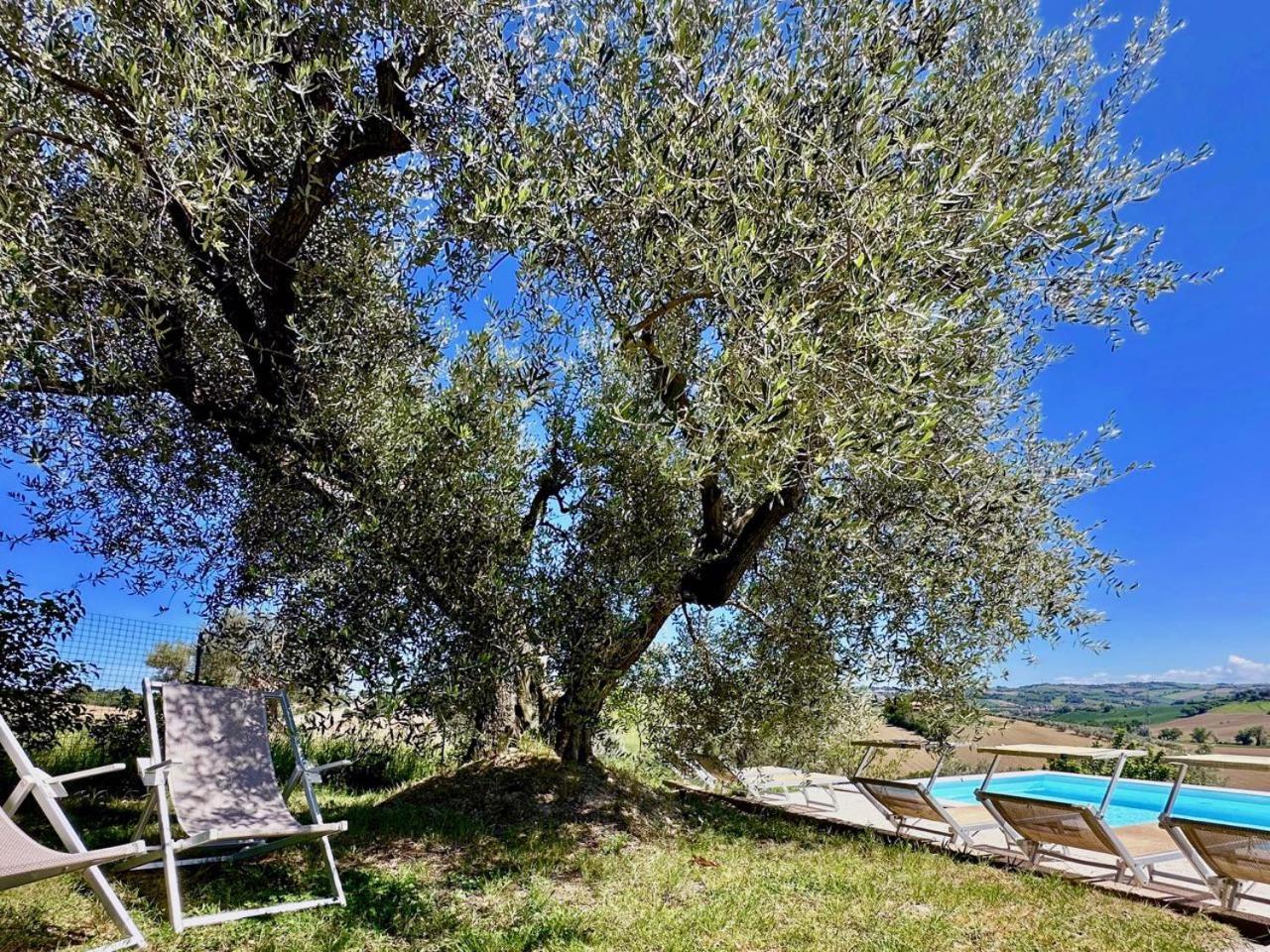 Penzion Casale Casini Soccorso Senigallia Exteriér fotografie